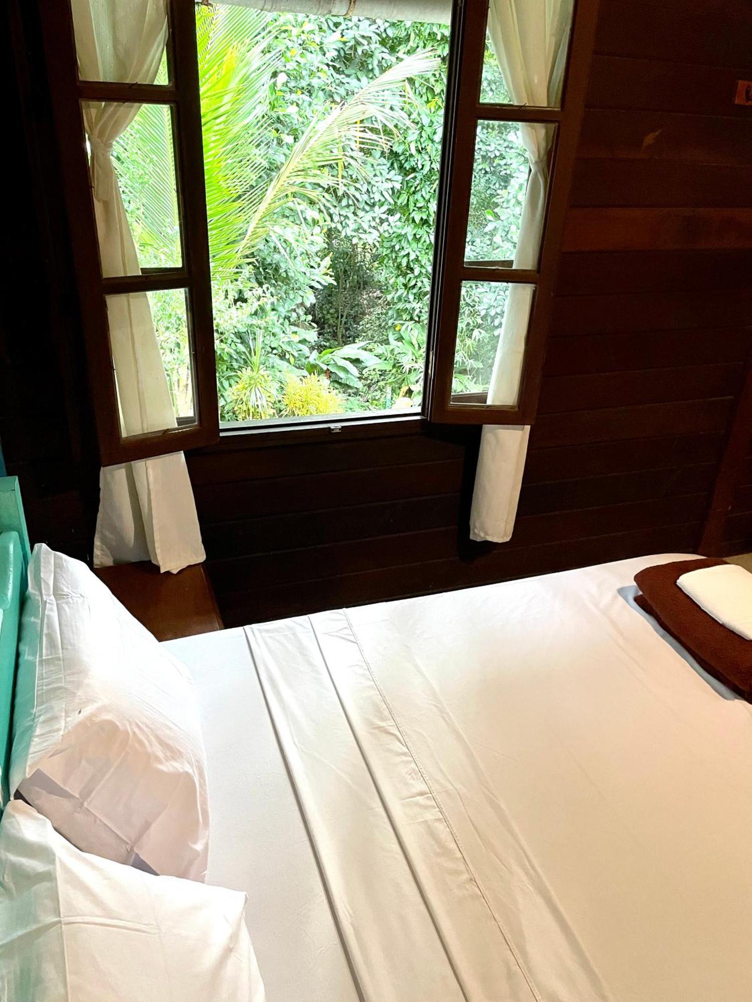 Casa Selva - Vila Do Abraao - Ilha Grande Eksteriør bilde